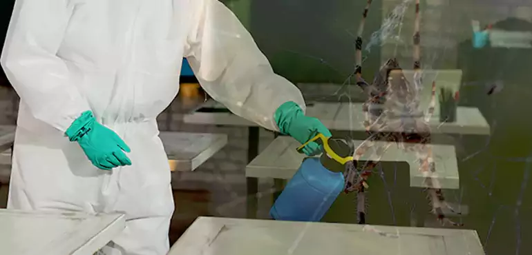 Why Buyers Still Want Homes With Pest Infestations in Savannah, GA?