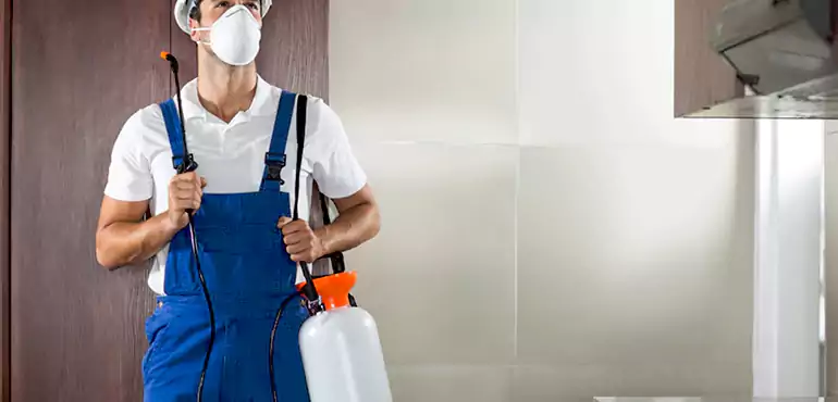 Why Savannah Homeowners Choose Us When Pests Make Selling Difficult